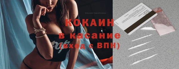 тгк Абаза