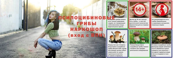 тгк Абаза